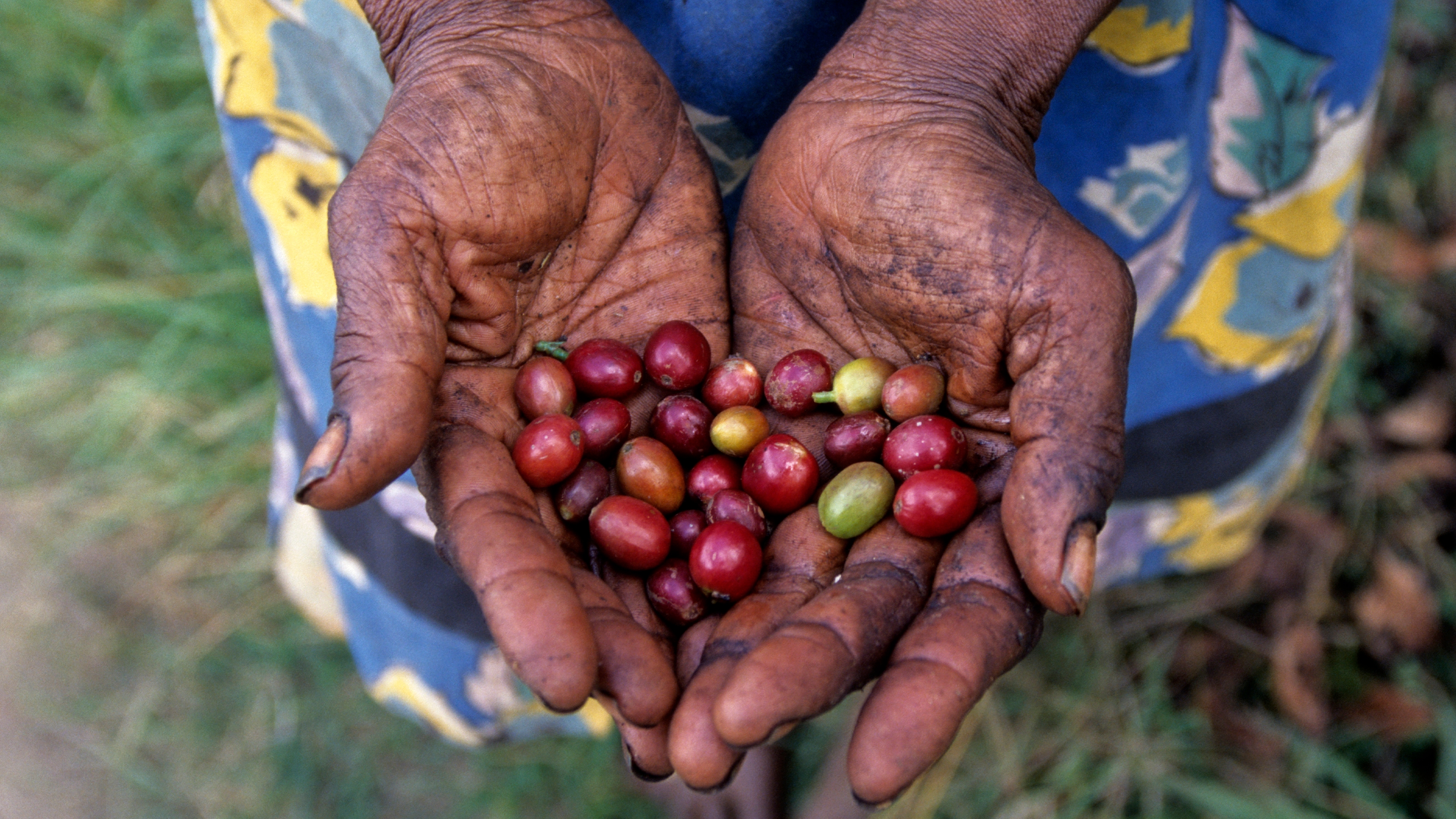 Goroka, Eastern Highlands, Papua New Guinea, Pacific